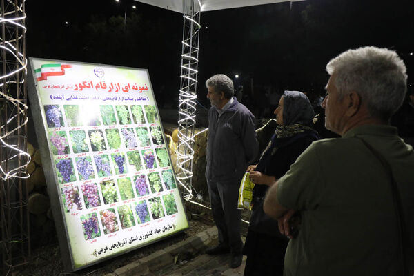 هشتمین جشنواره انگور ارومیه