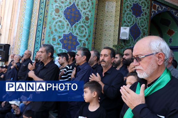 دل‌های جامانده، گرد حرم سلطان علی(ع) در مشهد اردهال به شور افتادند