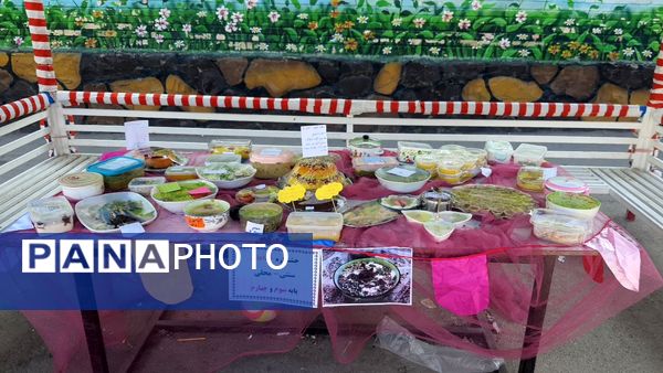 برگزاری اردوی درون مدرسه‌ای و جشنواره غذا در دبستان شاهد تحقیقی ناحیه ۶