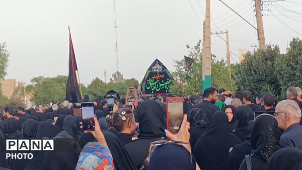 زمزمه‌ های سوگ در کوچه‌های خشتی؛ وقتی نخل چاه‌ ملکی به یاد حسین (ع) برمی‌خیزد