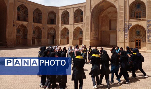 دومین مرحله اردوی تمشک در خواف