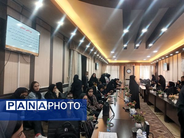 توانمندسازی همیار مشاوران مدارس ناحیه ۳ شیراز