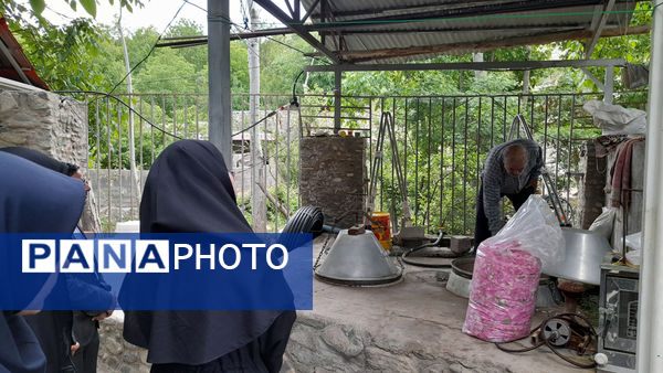 بازدید دانش‌آموزان جعفرآباد از کارگاه گلاب‌گیری روستای «بنابر»