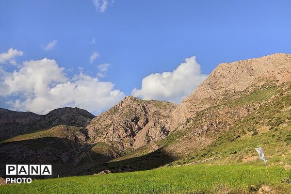 کوه های شهر بار ذخیره‌گاه گیاهان ارزشمند و کم نظیر دارویی 