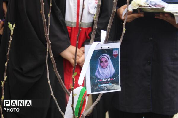 کاشت نهال همزمان با چهلمین روز شهادت فرشتگان میناب 