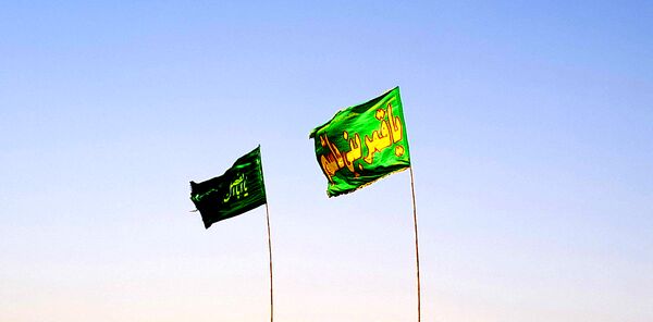 گام هایی از جنس عشق به امام رضا (ع)