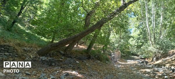 حال و هوای دل‌انگیز روستای مایان در آخرین ماه تابستان