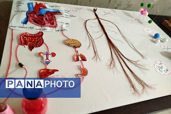 نمایشگاه طرح جابرابن حیان دربهارستان ۲