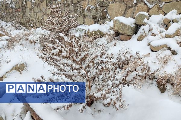 یک قدم مانده به زمستان طبیعت شهر بار کاملاً زمستانی شد