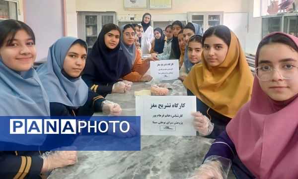 برگزاری کلاس آناتومی و تشریح مغز در پژوهش‌سرای بوعلی سینا ملارد