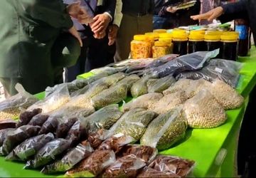 برگزاری جشنواره غذای سالم در منطقه رودخانه