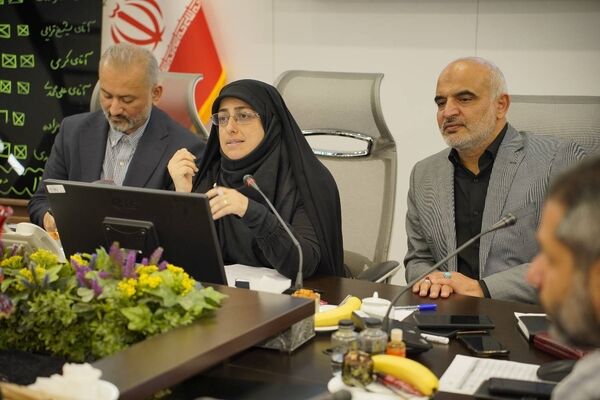 تحقق «شهر دسترس‌پذیر» با تکیه بر حکمرانی مشارکتی؛ دبیران کانون معلولین تهران، عضو ناظر ستاد مناسب‌سازی شدند