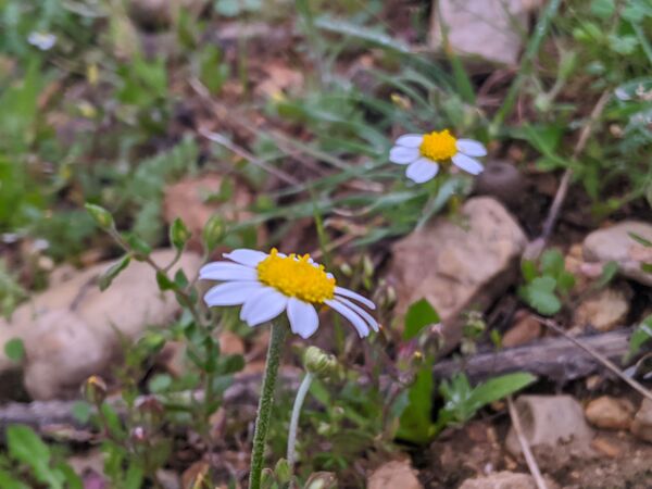 طبیعت زیبای میانکوه 