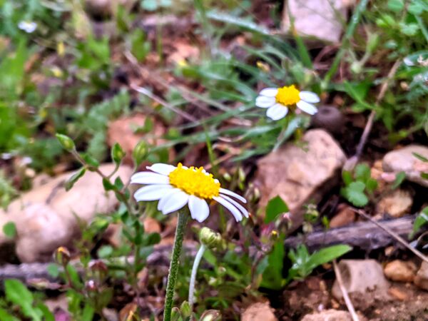 طبیعت زیبای میانکوه 