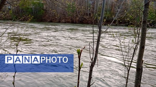 آوای گوش‌نواز بهار در طبیعت شهرستان‌بن