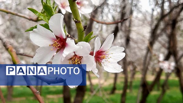 دهکده زراس، بهشت گمشده خوزستان