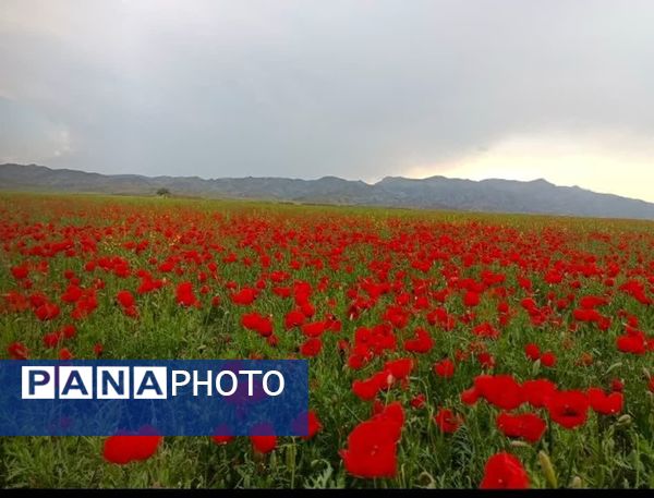 طبیعت بی نظیر روستا سربالا بهترین گزینه برای طبیعتگردی در فصل بهار