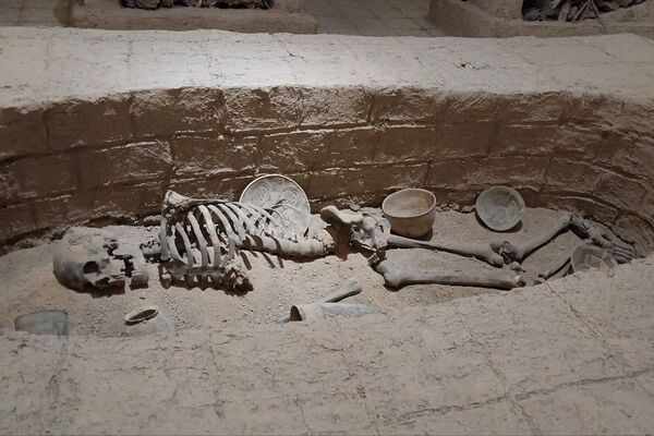 موزه ‌ها؛ میراث‌بانان میراث ملموس جامعه بشری
