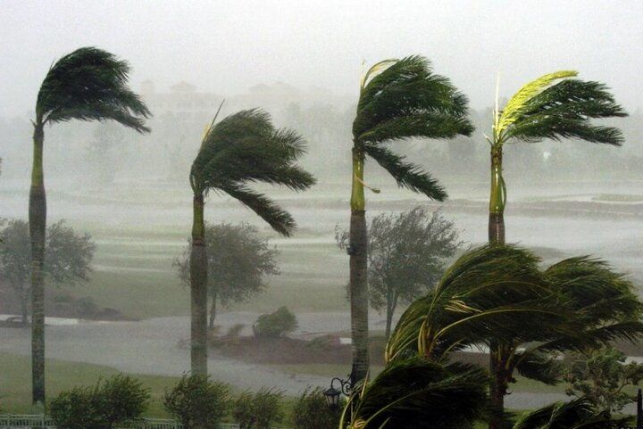 وزش باد شدید در برخی نقاط کشور 