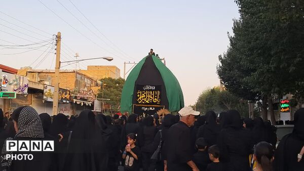 نخل برداری و علم گردانی در روز عاشورا - یزد