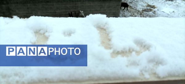 دومین بارش برف پاییزی در شهرزیبای بار نیشابور