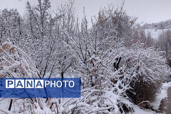 آسمان سخاوتمندانه نعمتش را در ماه شعبان به زمین شهر بار هدیه کرد
