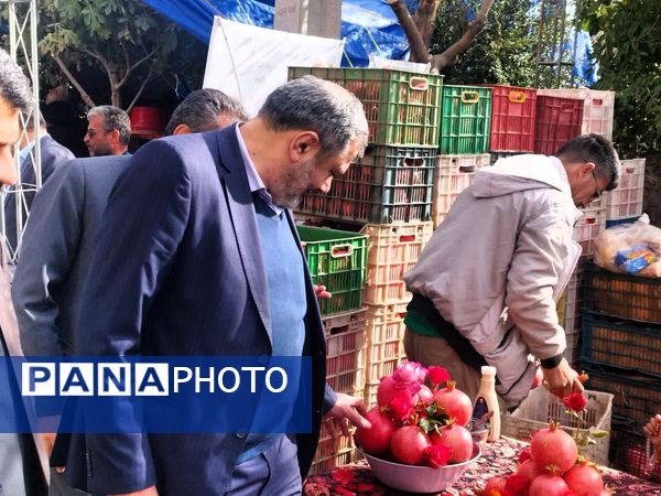 برگزاری جشنواره اناردون در روستای محمودآباد شهرستان فیروزکوه