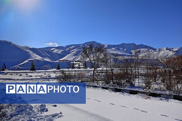 آسمان سخاوتمندانه نعمتش را در ماه شعبان به زمین شهر بار هدیه کرد