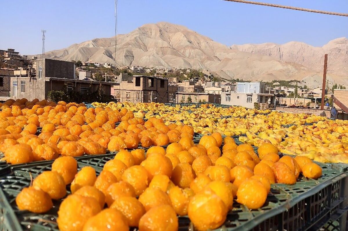 میوه شب عید در بازار تامین شده است