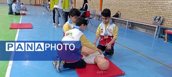 جشنواره مهارت علمی سفیران سلامت