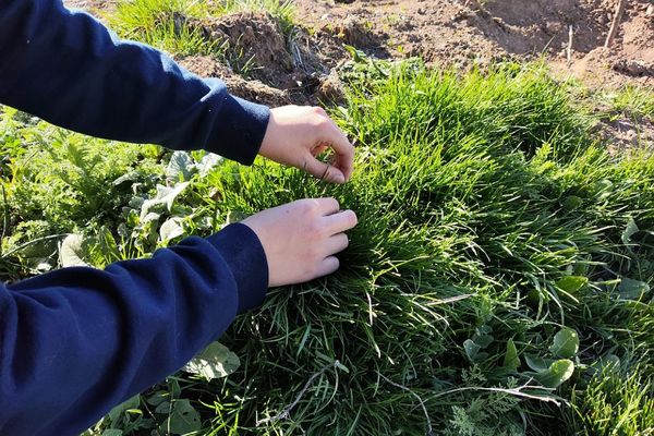 پاکسازی طبیعت در روز طبیعت