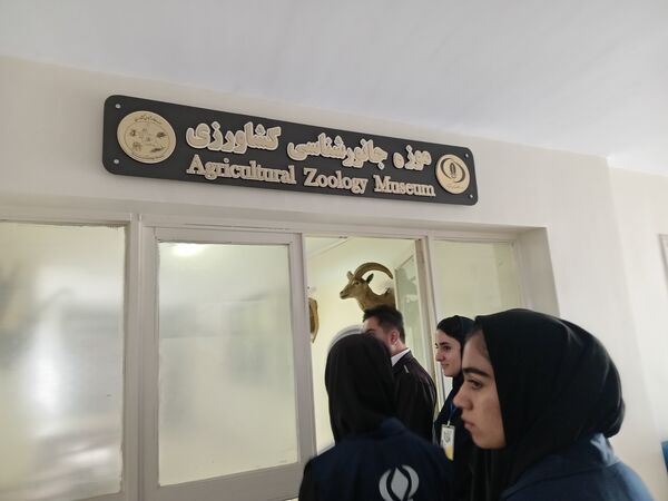 کنجکاوی پانایی ها در کشف اسرار کشاورزی و دامپروری 