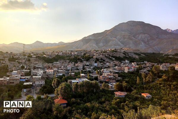 فصل چیدن یاقوت های چشم نواز در شهر بار نیشابور-۲ 