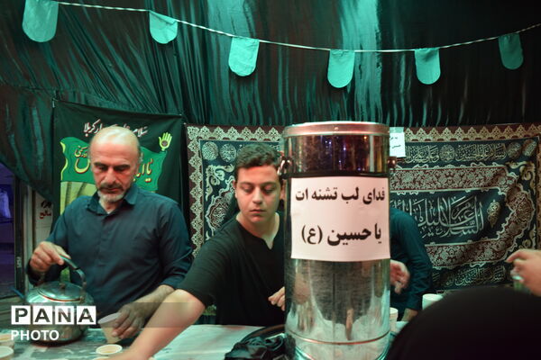 شور عاشورا در قاب شب‌های فارسان