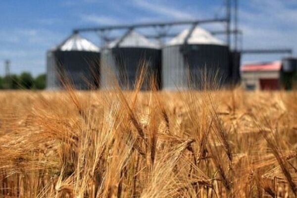 ذخایر کالاهای اساسی کشور در سطح قابل قبولی قرار دارد