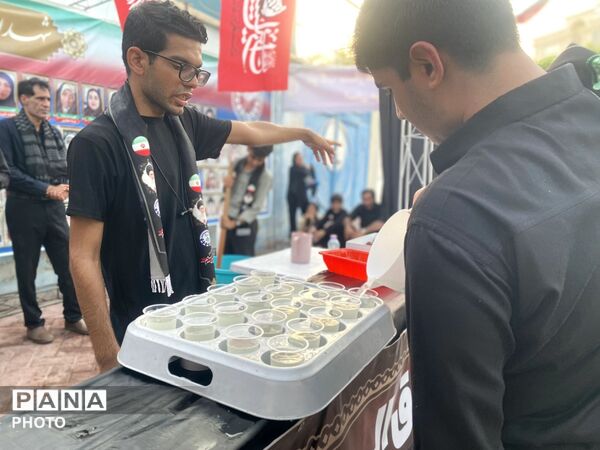 جاماندگان اربعین میهمان سفره مهرِ سازمان دانش‌آموزی شدند