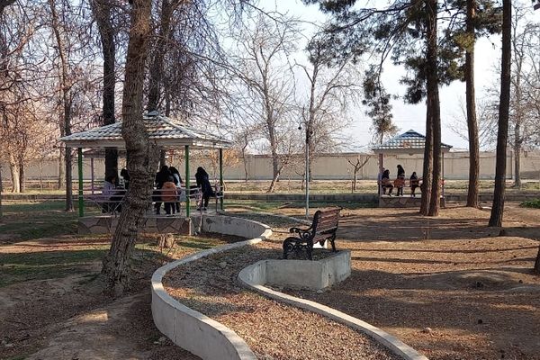 اردوی تشویقی تمشک؛ هدیه‌ای به یاوران انقلاب