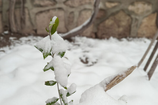 یک روز برفی در روستای بنادکوک‌ دیزه