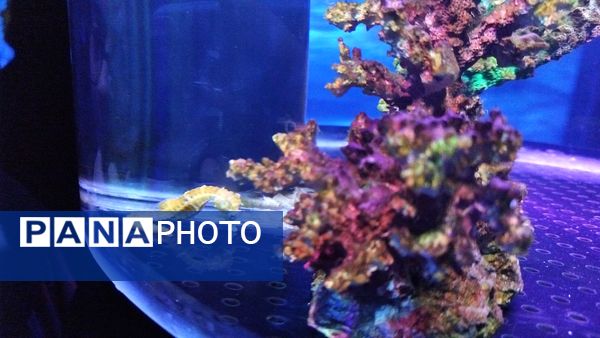 اردوی علمی تفریحی خبرنگاران پانای استان اصفهان