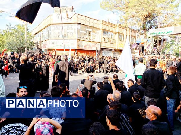 حرکت نمادین کاروان بندی اسد روستای فدافن و آیین نخل گردانی در کاشمر 