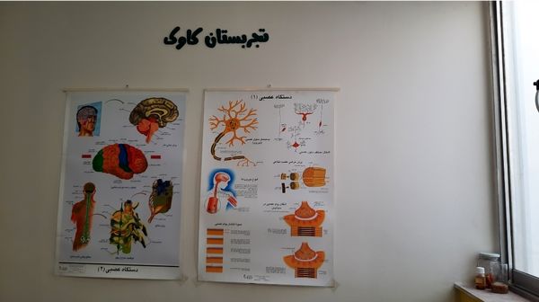 آموزش ماندگار در تجربستان کاوک ناحیه۷ مشهد 