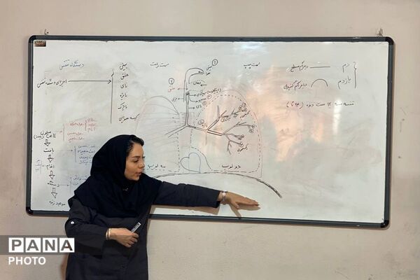 همراه تا مهر در دبیرستان نگین دانش