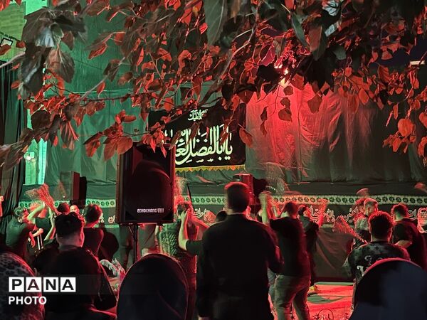 ارادت هیئت محبان فاطمه الزهرا (س) به فرهنگ عاشورا
