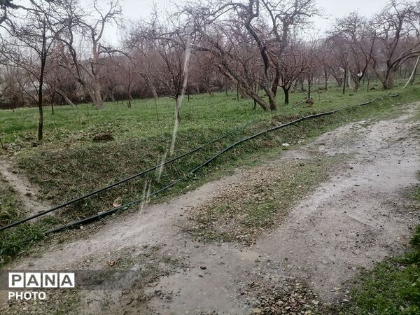 بارش باران بهاری در شهر بار