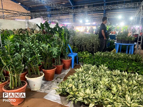 اولین نمایشگاه بهاره گل و گیاه و سوغاتی های محلی در شهرکرد
