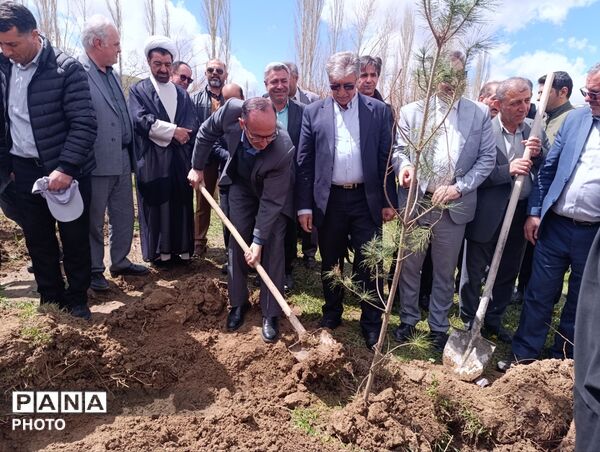 کاشت نهال در اردوگاه دانش آموزی امام خمینی(ره) منطقه ازناو شهرستان خلخال