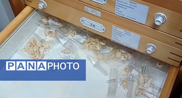 بازدید  خبرنگاران مسئله محور از موسسه گیاه پزشکی تهران