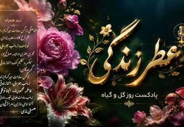 گیاهان، ساکت ترین و مهربان‌ترین هم‌اتاقی‌های دنیا هستند