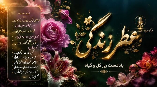 گیاهان، ساکت ترین و مهربان‌ترین هم‌اتاقی‌های دنیا هستند