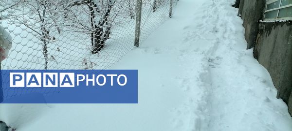 بارش اولین برف در بهمن ماه در شهر بار 